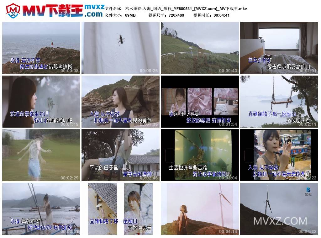 枯木逢春-入海_国语_流行_YF800531